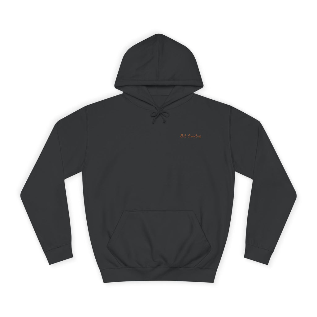 Bat Country Hoodie - Bat Country
